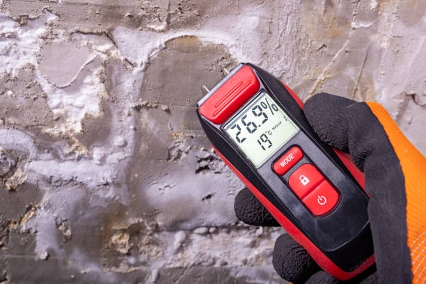 Best Mold Testing and Removal  in Sioux City, IA